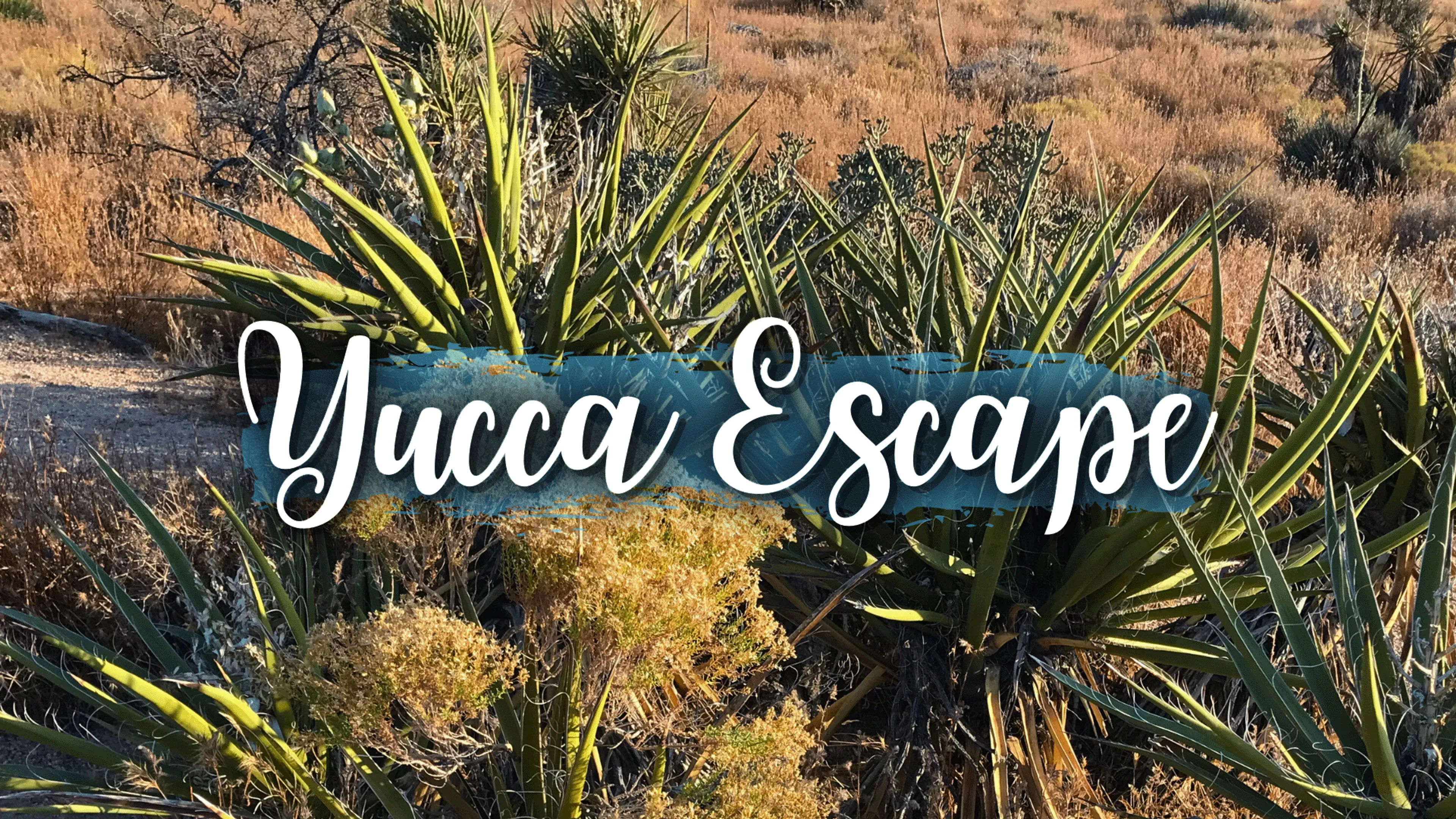 Yucca Escape poster